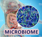 MICROBIOME TESTING - MetaBiome Sampling Kit